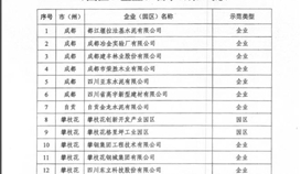 德勝釩鈦成功入圍“四川省第一批工業 資源綜合利用示范基地企業”