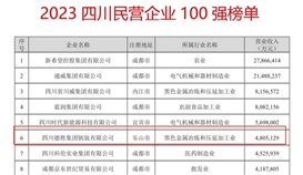 連續(xù)六年！德勝集團上榜“四川民營企業(yè)100強”